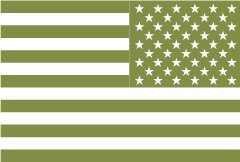 lt Green Flag